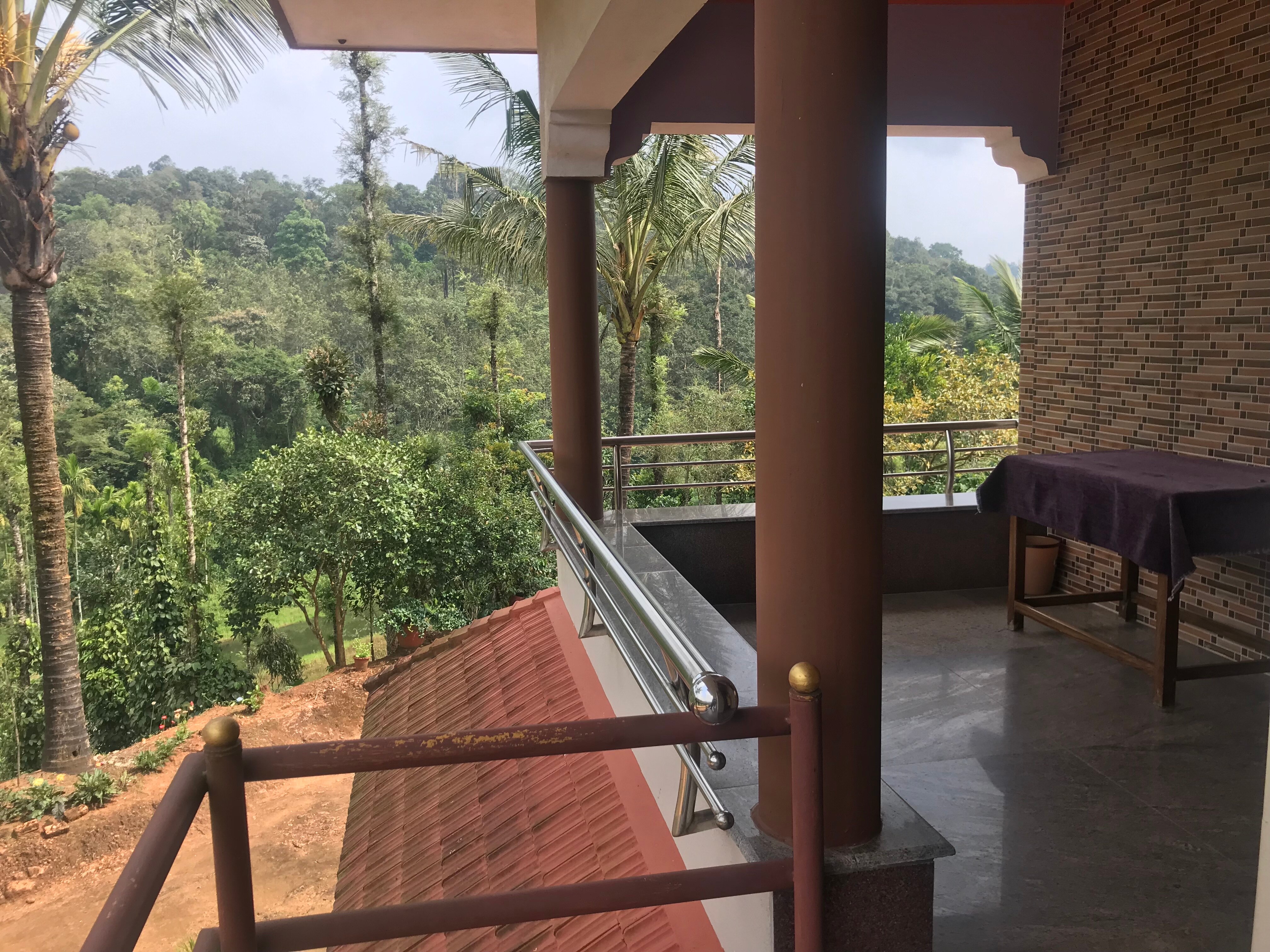 Jungle view Homestay - Tap to explore photos