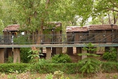 Whispering Grass, Bandhavgarh