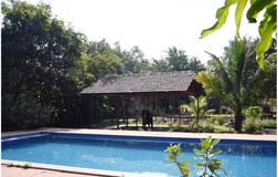 Swimming Pool 1