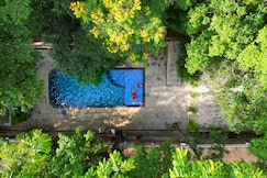 Thennal Jungle Camp, Wayanad