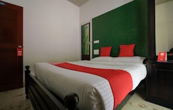 Premium Valley View Room