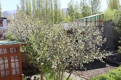 Harmony Guest House , Leh