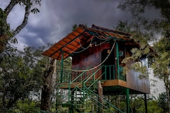 Lexi meadow- Tree house, Kasaragod