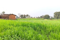 Aashiyana Home Stay Ranehfall, Ajaigarh