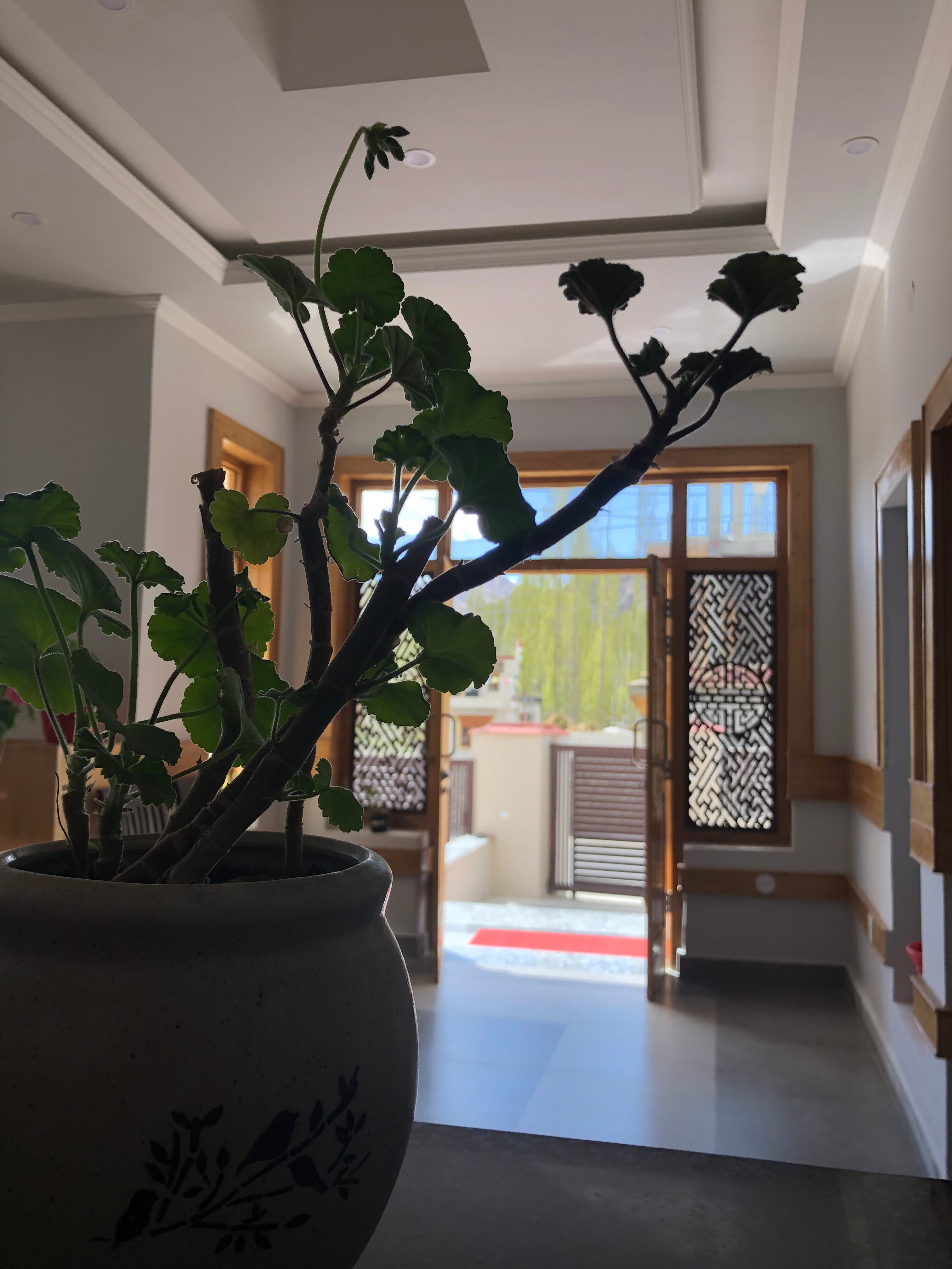 New Dawn Guest House - Tap to explore photos