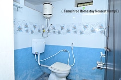Tanushree Homestay Hampi, Hampi