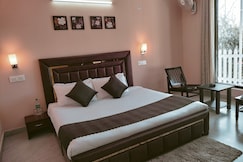 The Fox Fantasy, Chandigarh