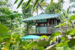 Wayside Cottage | Private Rooms & Treehouse, Munnar