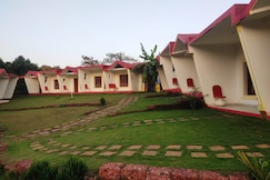 Maior Roma by Jolly Jolly Lester, Goa