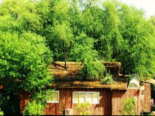 The Tree House Jaipur Price Address Reviews