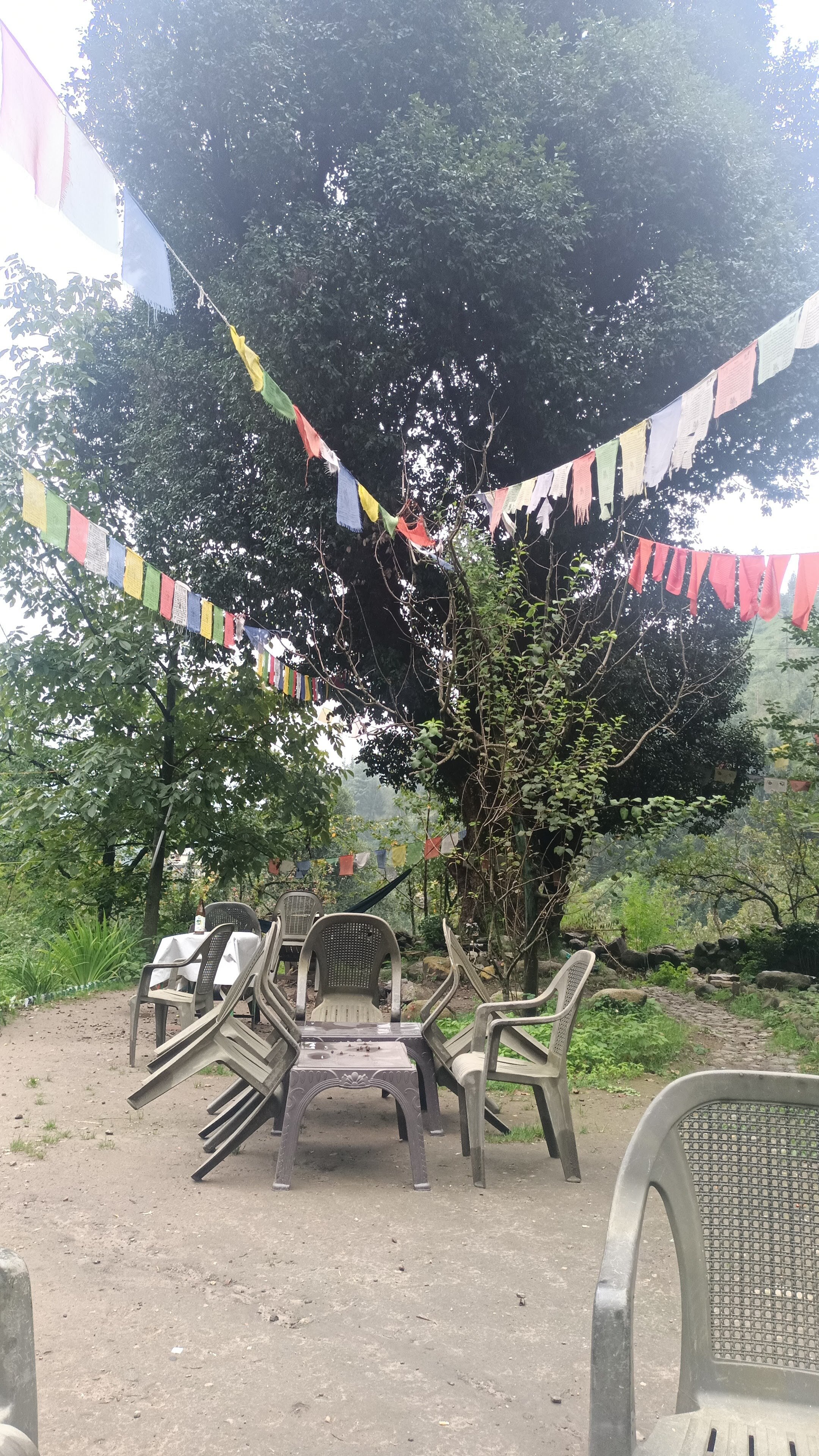 Vatika Hostel For Backpackers - Tap to explore photos