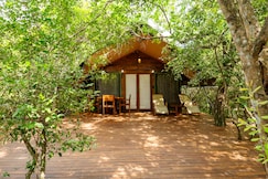 Leopard Reach Yala By Seven Angels, Tissamaharama - Yala