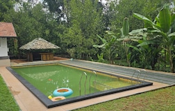 Swimming Pool 1