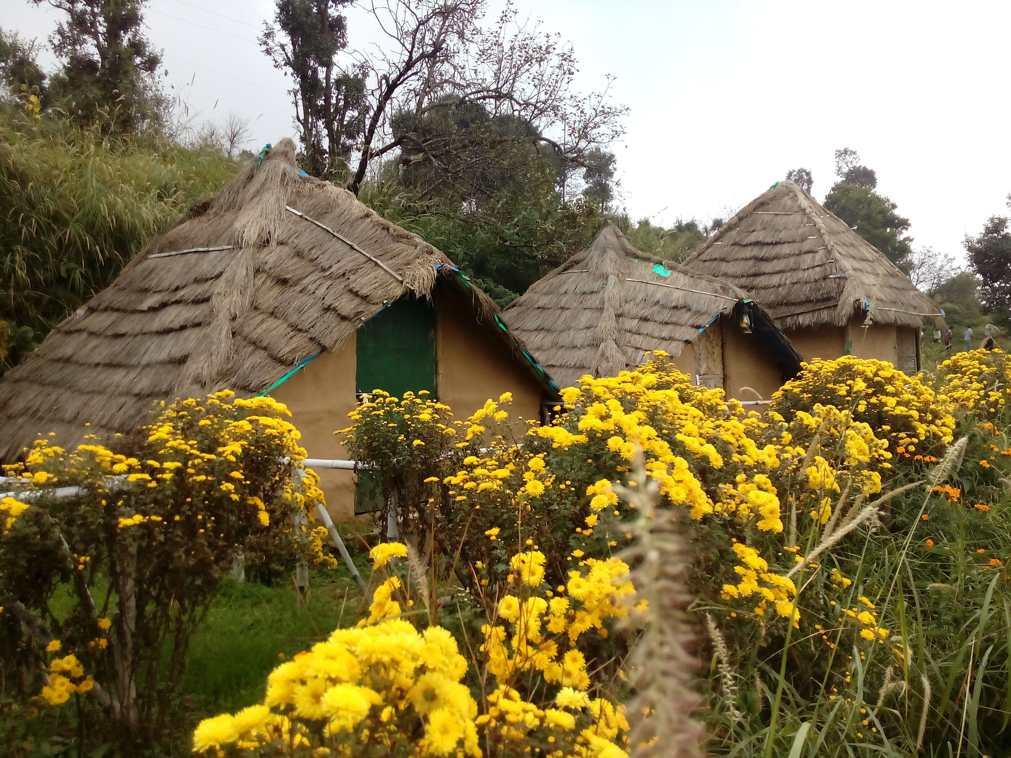 High Mountain Trekking Camp Nainital Nainital Camp Free Cancellation Price Address Reviews