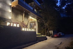 PINE NEEDLES, Kasauli