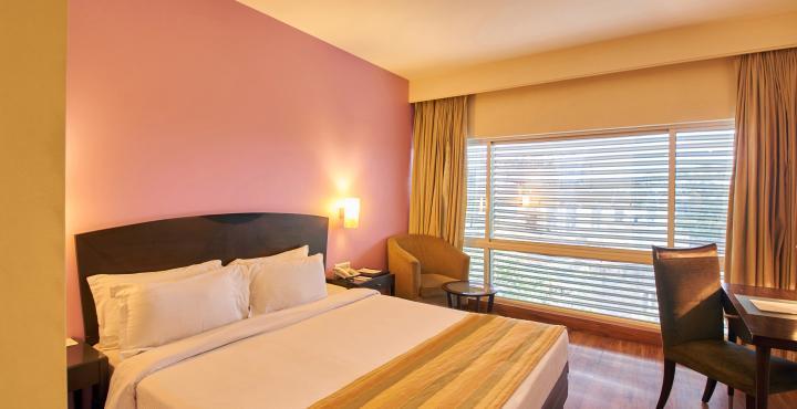 Deluxe Room 1