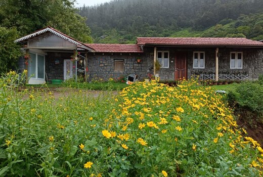 Wild And Free Organic Farmstay