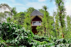 Wayanad Whistling Woods, Wayanad