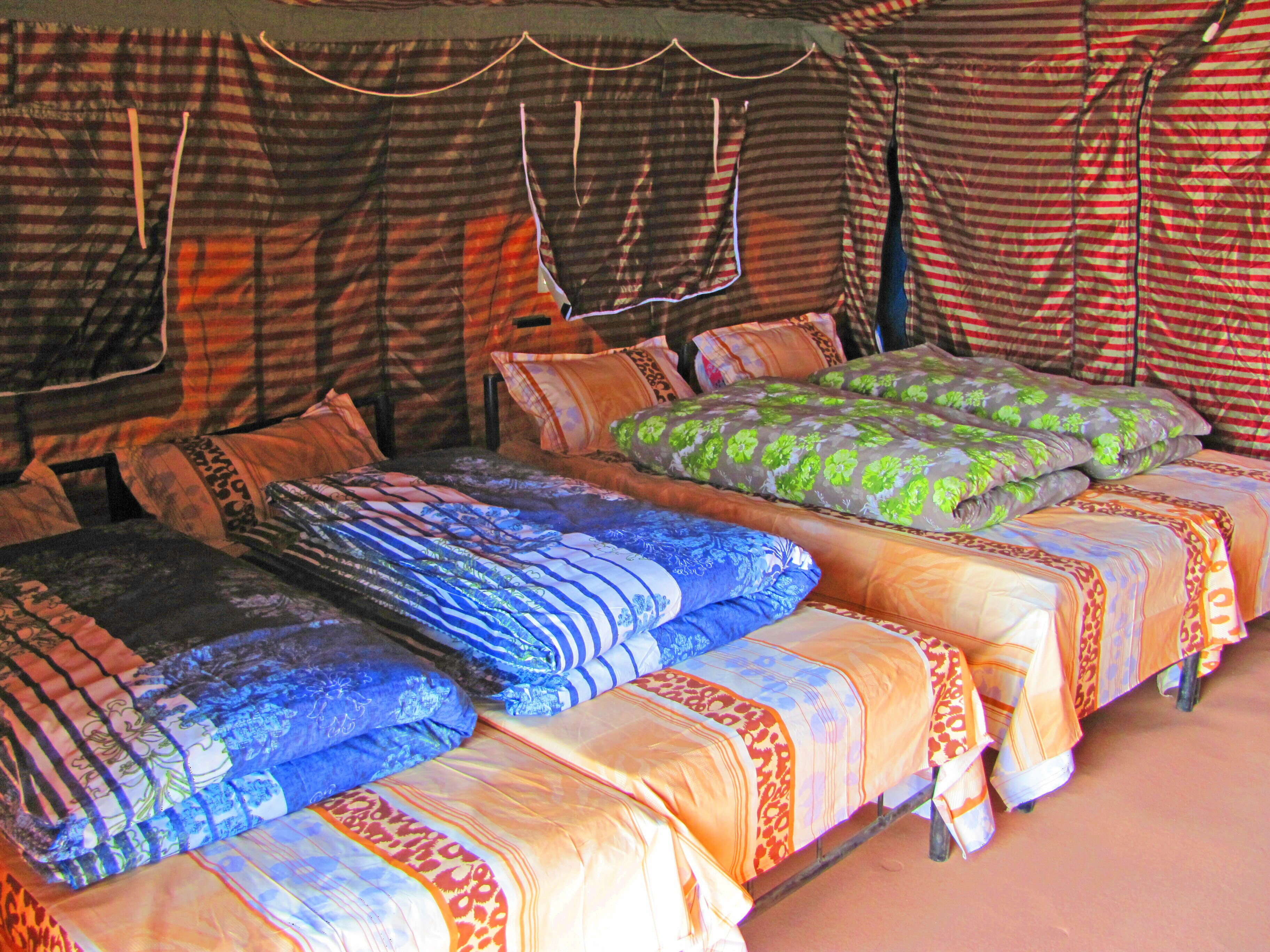 Camp Wildex kanatal - Tap to explore photos