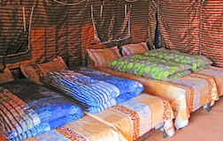 Safari Adventure Camp