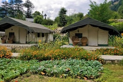 Kinner Camps Sangla | Tents & Caretaler, Sangla