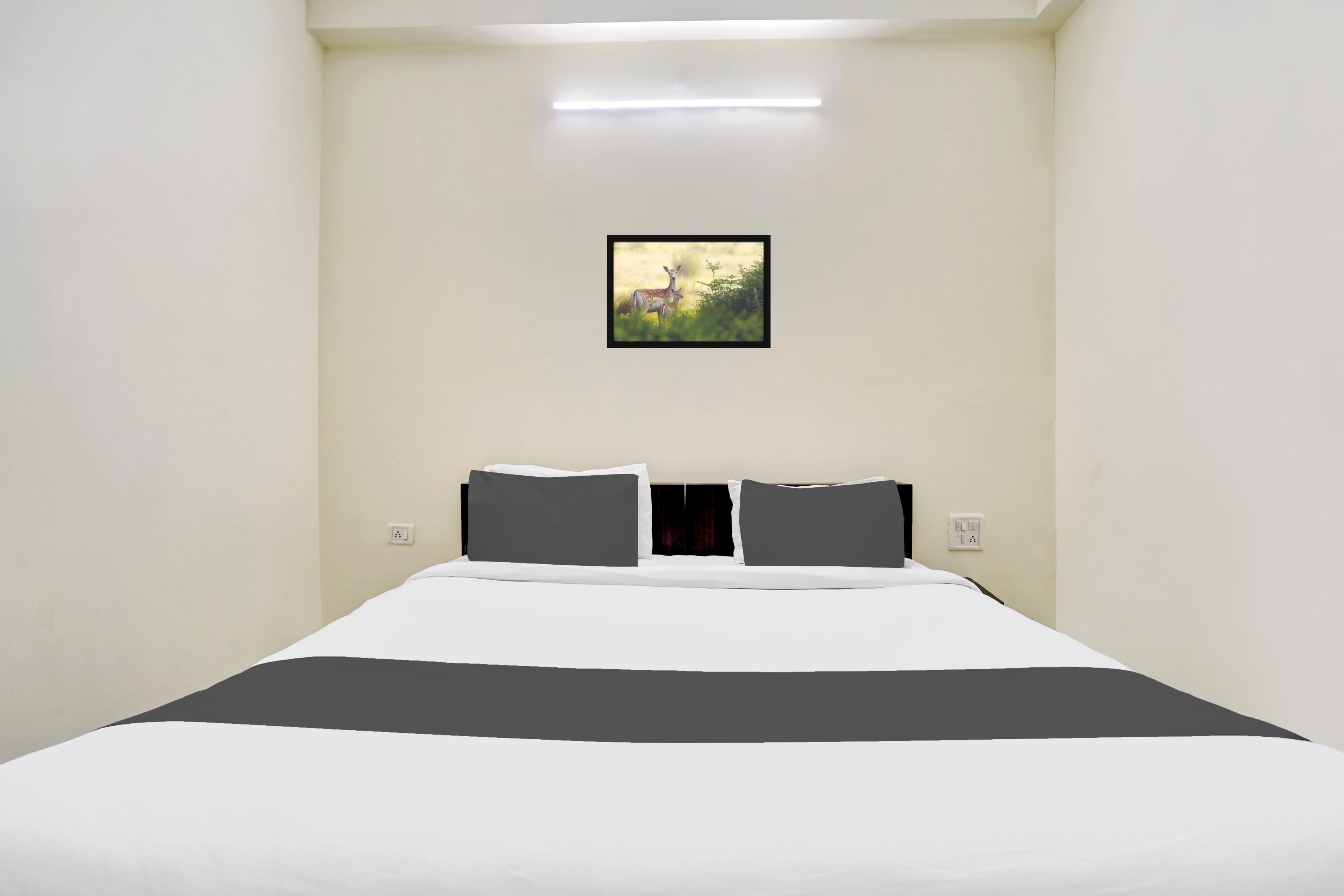 Hotel O Mani bhai patel - Tap to explore photos