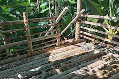 Kolamba Bliss Homestay, Kannur