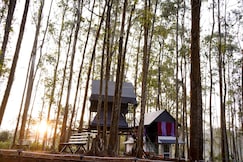 Ventos Tent Stay and Aframes, Munnar