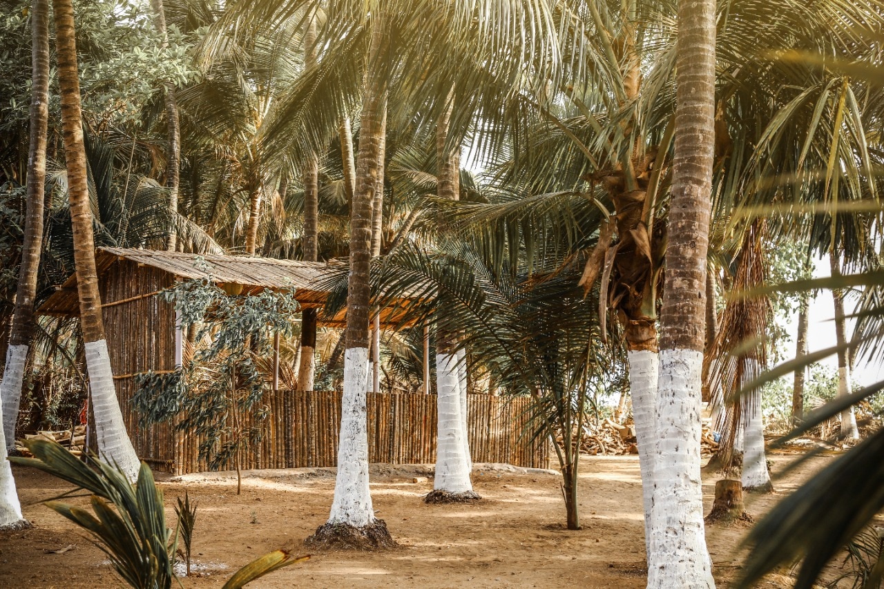 Alibag Thal Coconut Beach Resort - Tap to explore photos