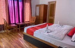 Deluxe Room with Mountain View