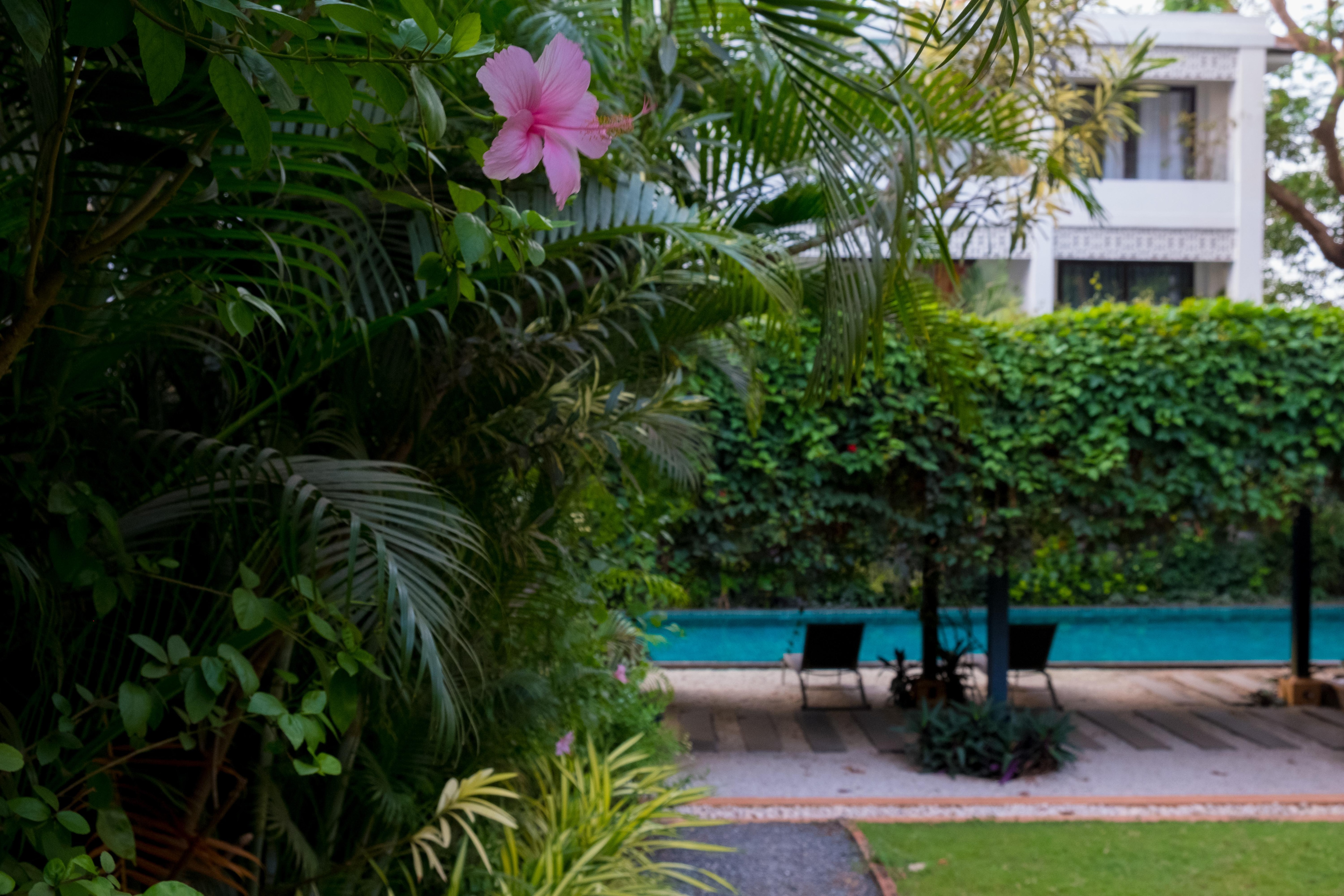 Santa Terra 1 BHK at Reis Magos by the Bluekite (04) - Tap to explore photos