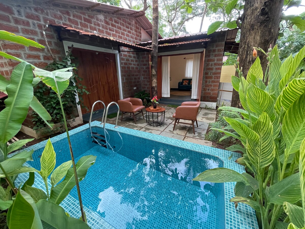 Cosy 2Bedroom villa with Private Plunge Pool 2 - Tap to explore photos