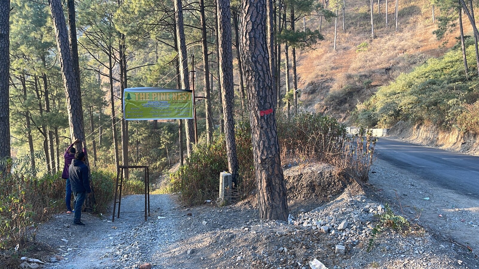 Pine Nest Lodging and Camping - Tap to explore photos