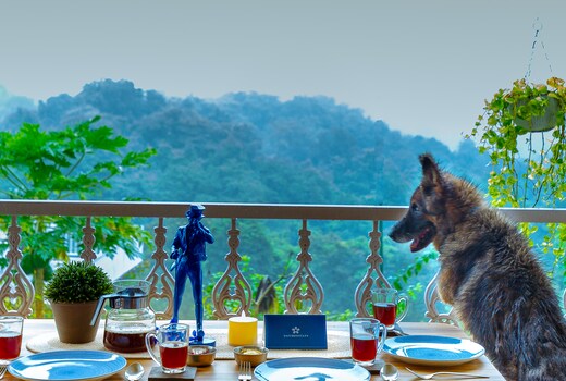 SaffronStays JungleBrooke