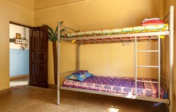 Dormitory Beds