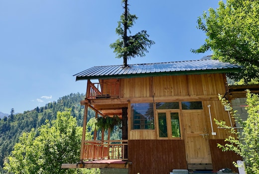 Dreamwood Treehouse