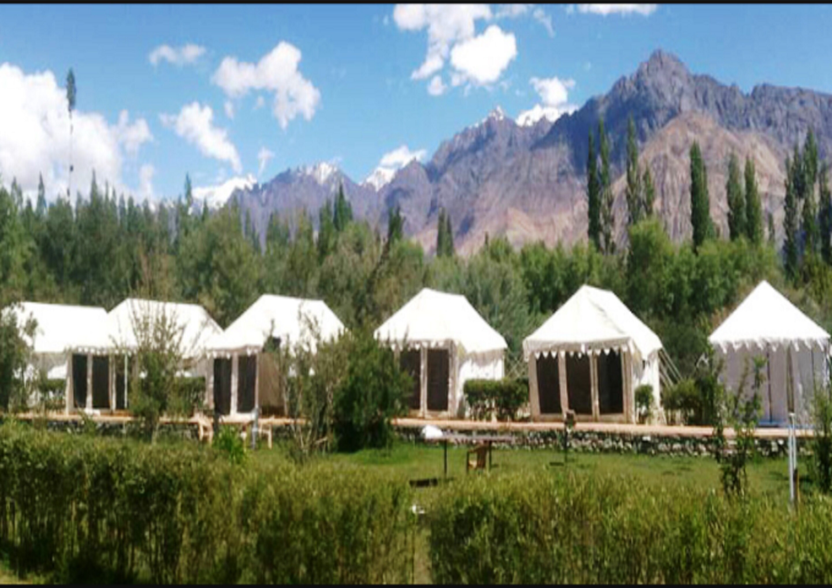 Ladakh Summer Camp Pangong Camp Free Cancellation Price Address Reviews