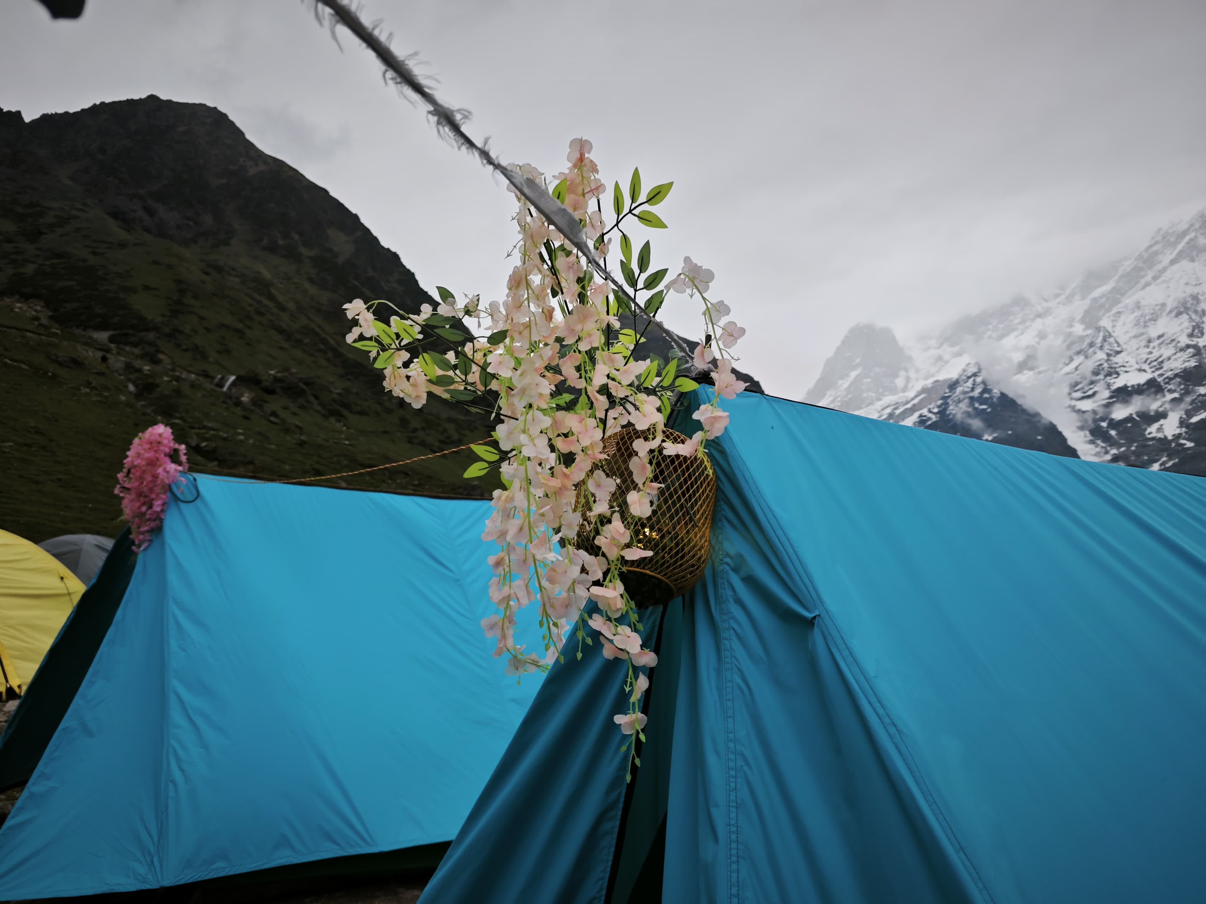 Camp Kedar Nomads -300 m from temple - Tap to explore photos