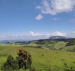 Mount View