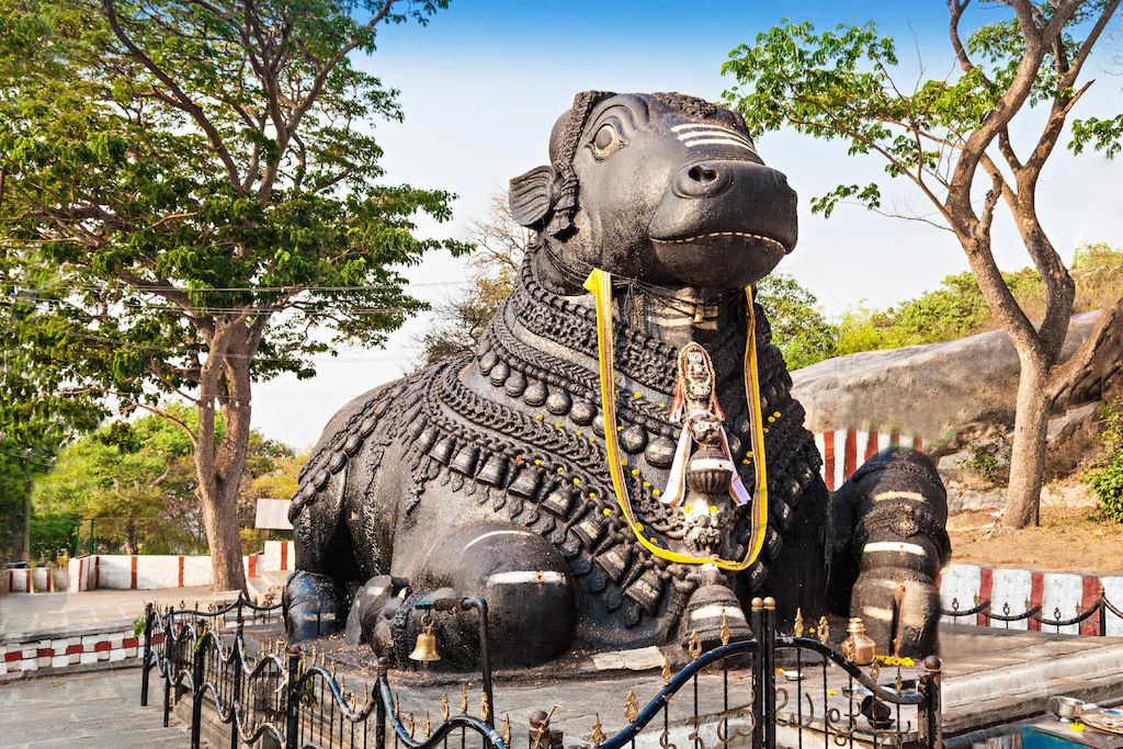 The Fiesta Grand - Banglore - Tap to explore photos