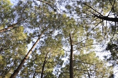 Hotel Dev Bhoomi, Sangla