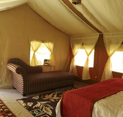 Luxury Camp