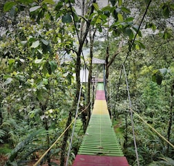 Tree House