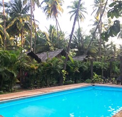 Swimming Pool 1