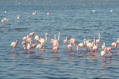 Best Western Hotel Residence Italia, Cagliari