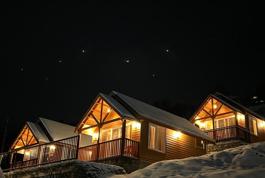 The Auli Meadows