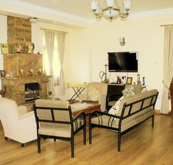 Living Room 1