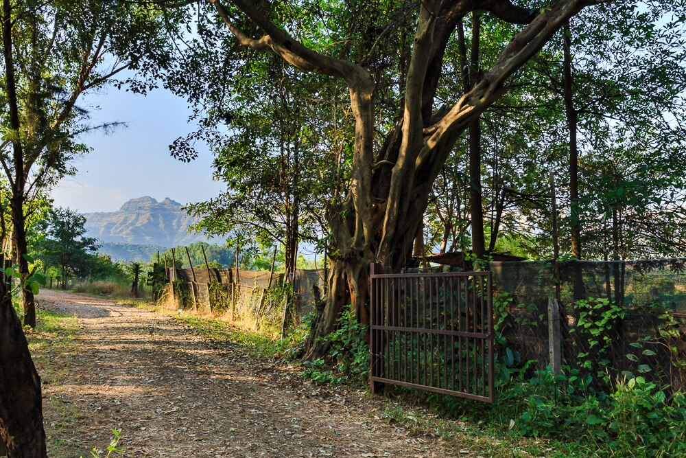 Fragnance Synergy Holiday Village Bhor Villa Price Address Reviews