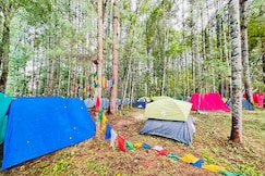 Full Moon Camps & Cafe, Ziro Festival, Ziro