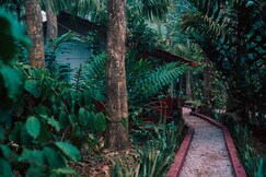 Maldare Days Cottage by Raho, Private Jungle Stay, Coorg